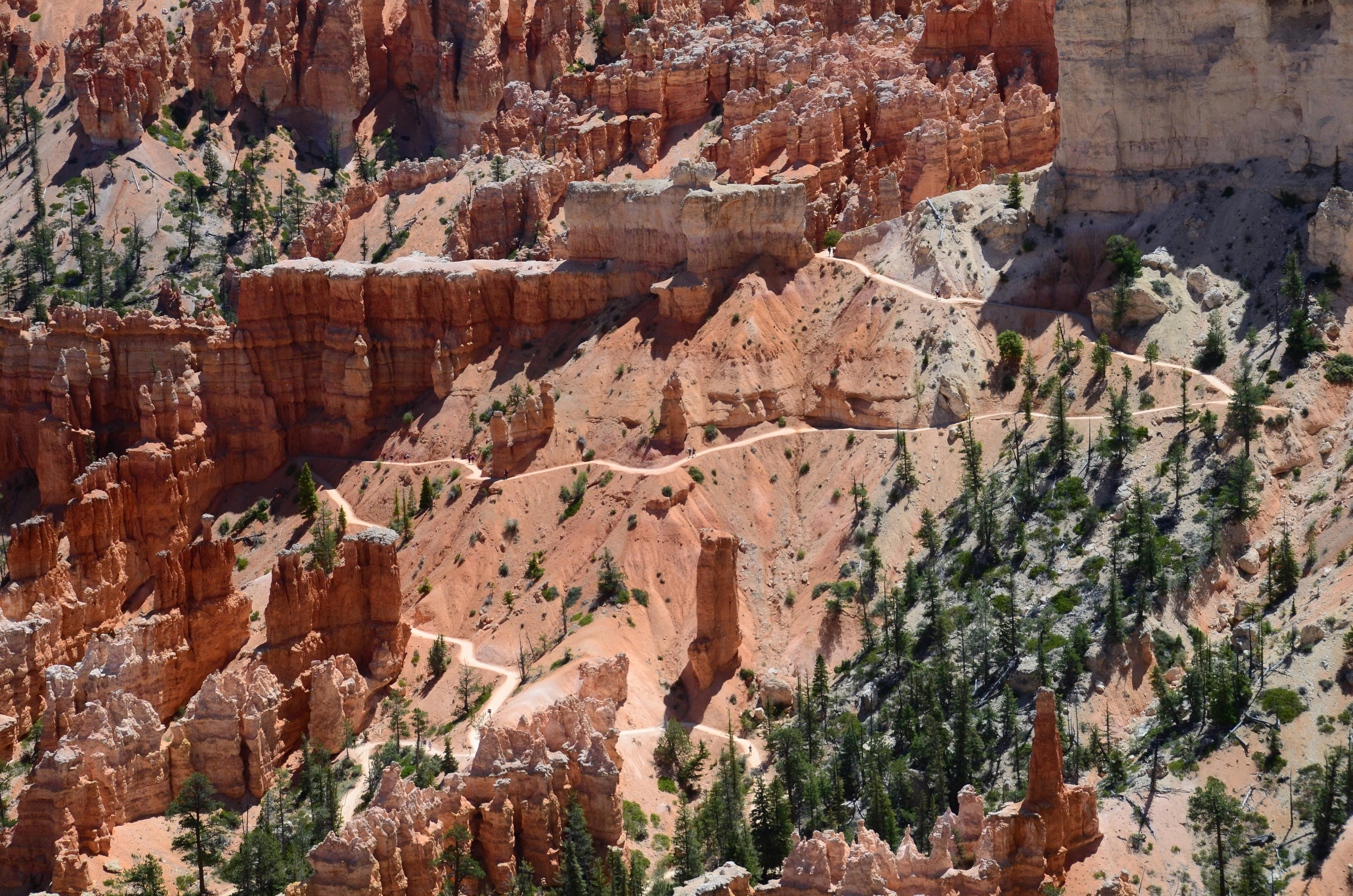 rock formations in bryce canyon