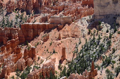 Ingyenes stockfotó bryce canyon, drónfelvétel, fák témában