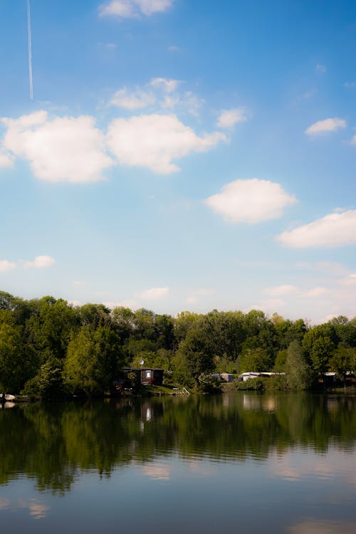 Green Trees by the Lake