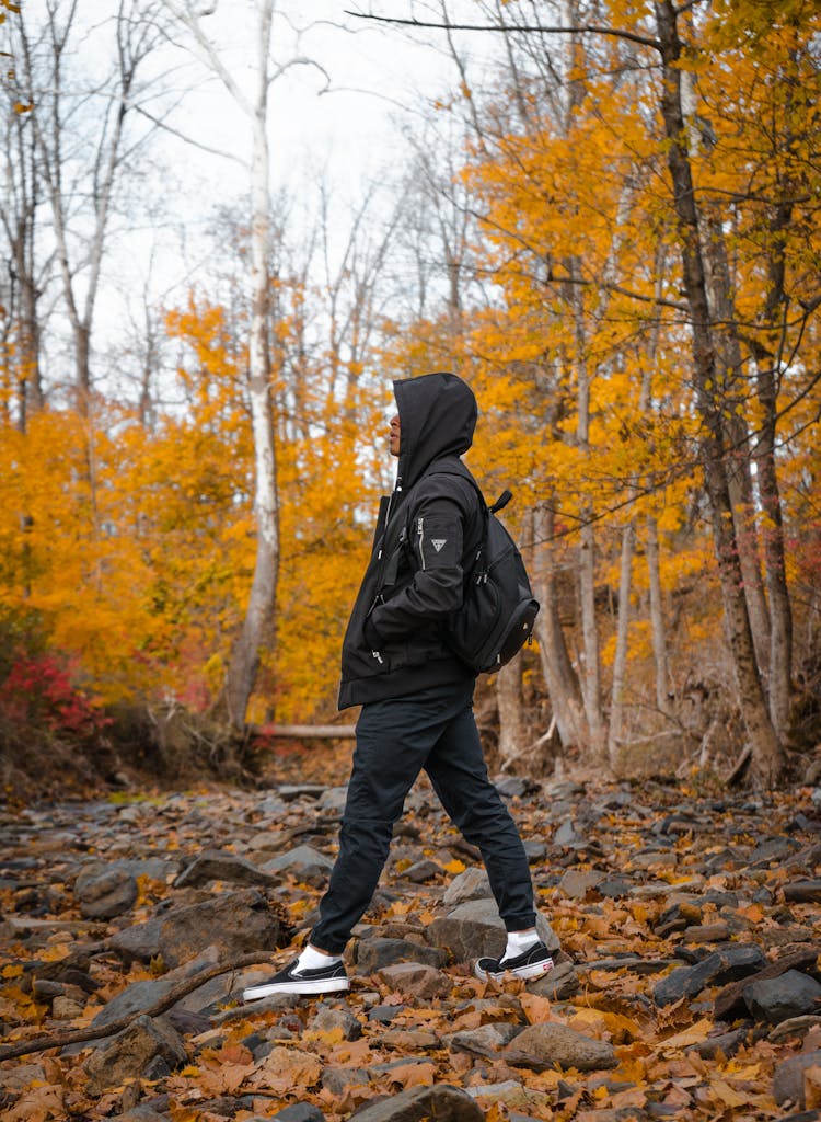 Side View Of A Man In A Black Jacket Walking In The Forest