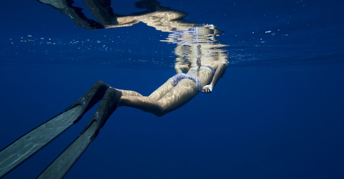 St Barts Scuba Diving — Caribbean travel guide
