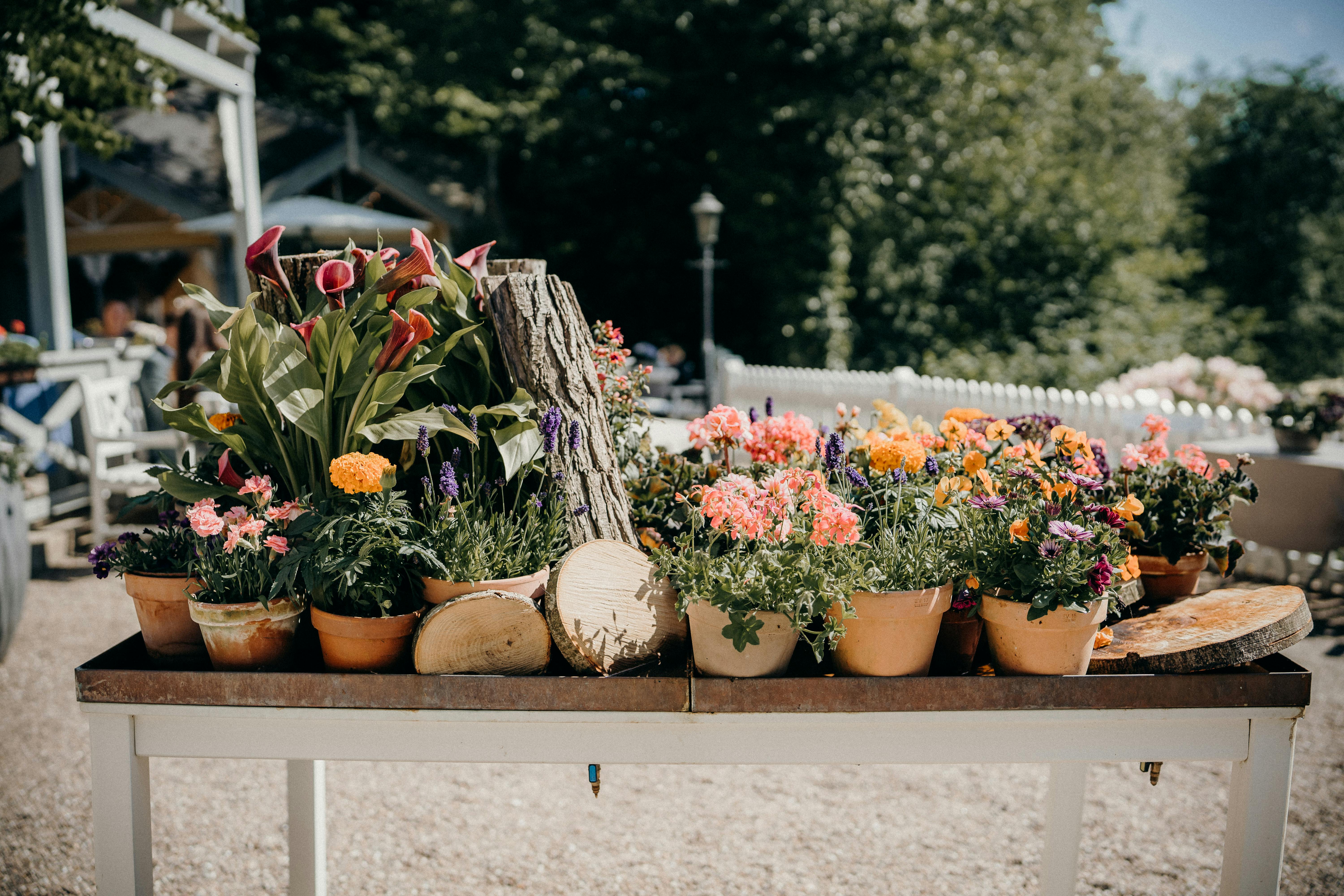 The Summer of Reconnection: How to Revive and Restore Your Social Circ
