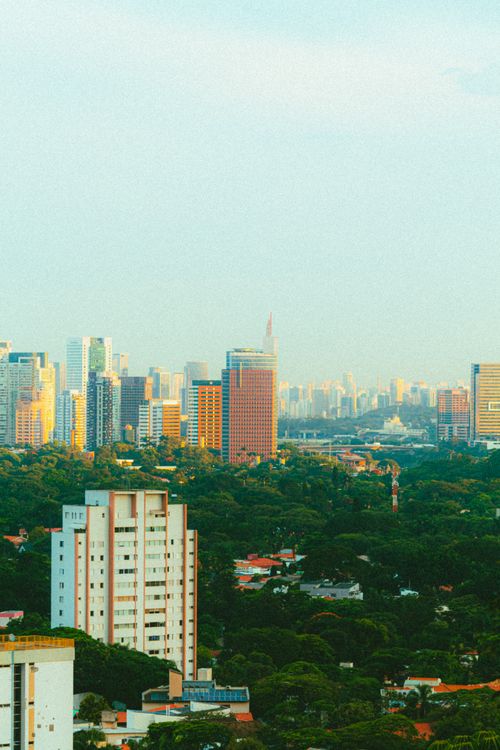 Free A sprawling city skyline blending modern skyscrapers with lush green areas. Stock Photo
