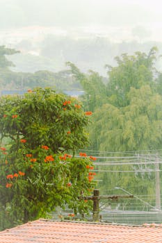 Vibrant foliage with orange flowers under a gentle rain, captured from a rooftop view.