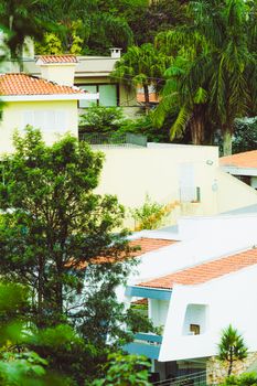 Vibrant tropical homes with terracotta roofs surrounded by lush green trees.