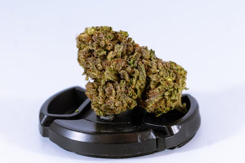 A Cannabis Bud