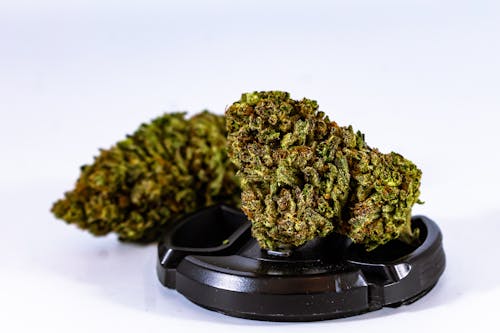 A Cannabis Bud