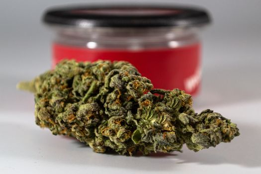 Sativa vs Indica Effects Comparison: Your Ultimate Guide