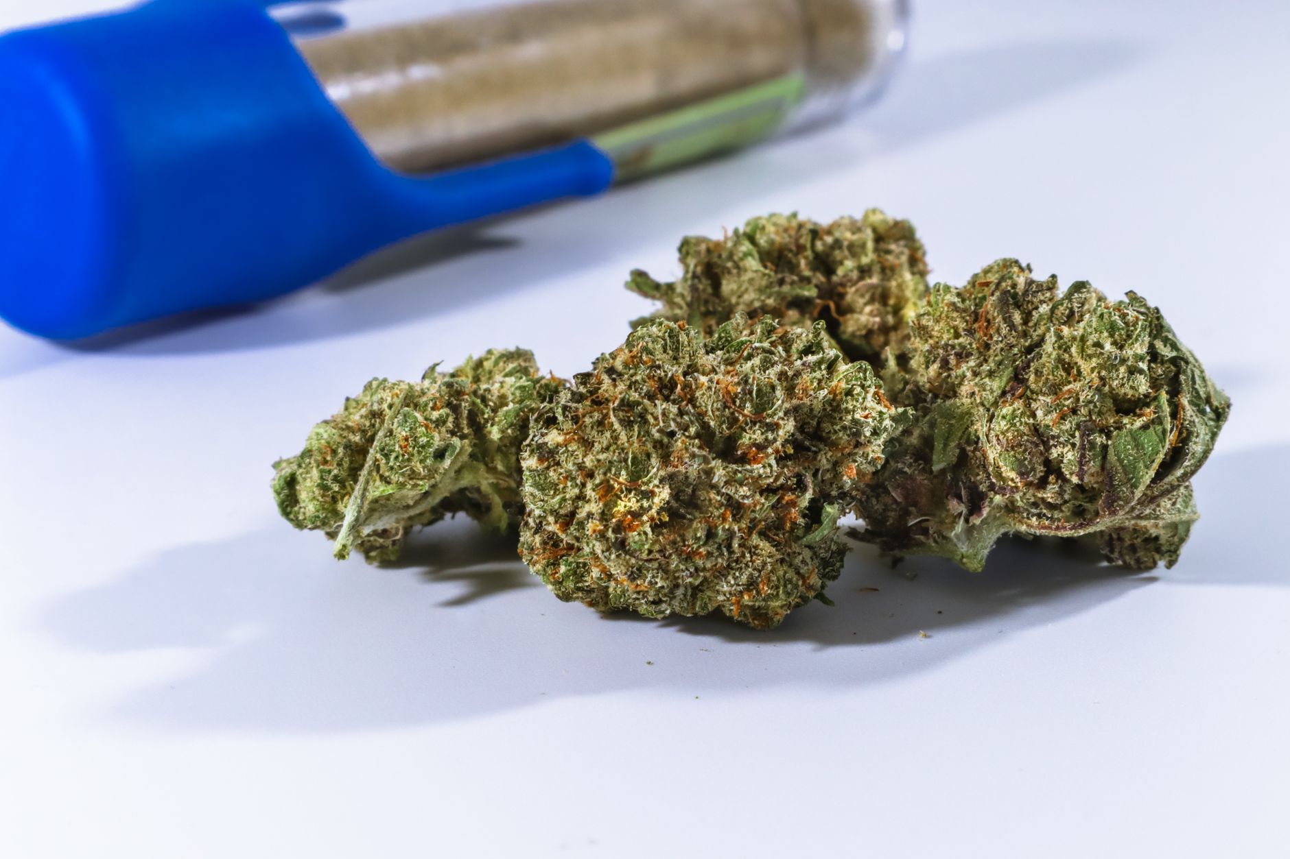 Best anti-inflammatory cannabis strains for pelvic pain Cannabis flower and tincture products for endometriosis pain relief at MrGreen DC