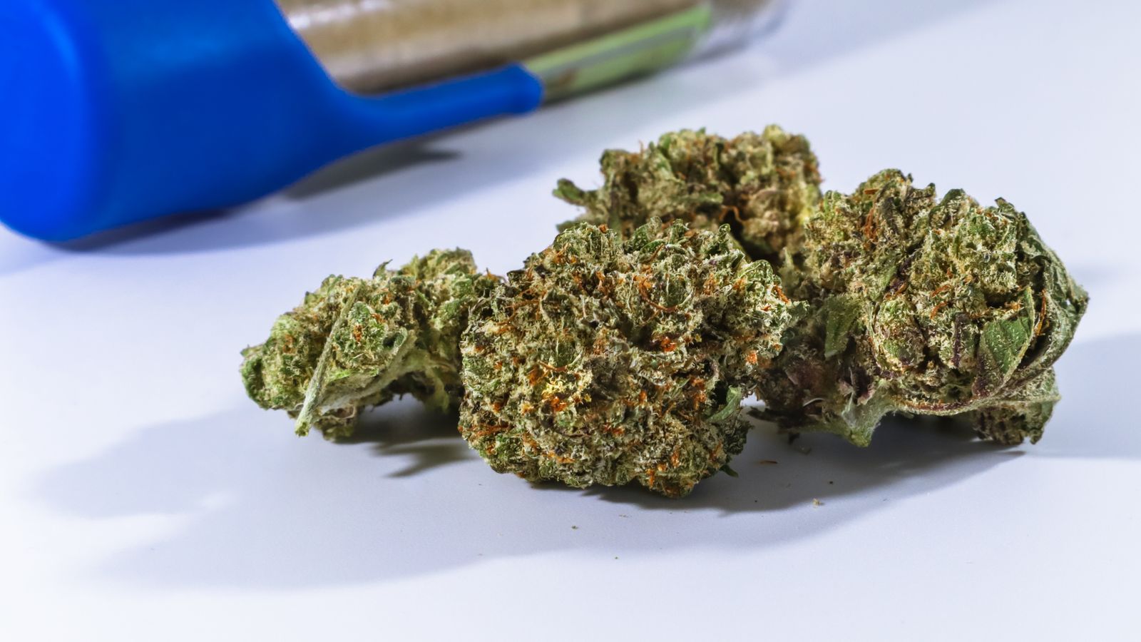 Detailed close-up of cannabis buds with a blue container in the background.