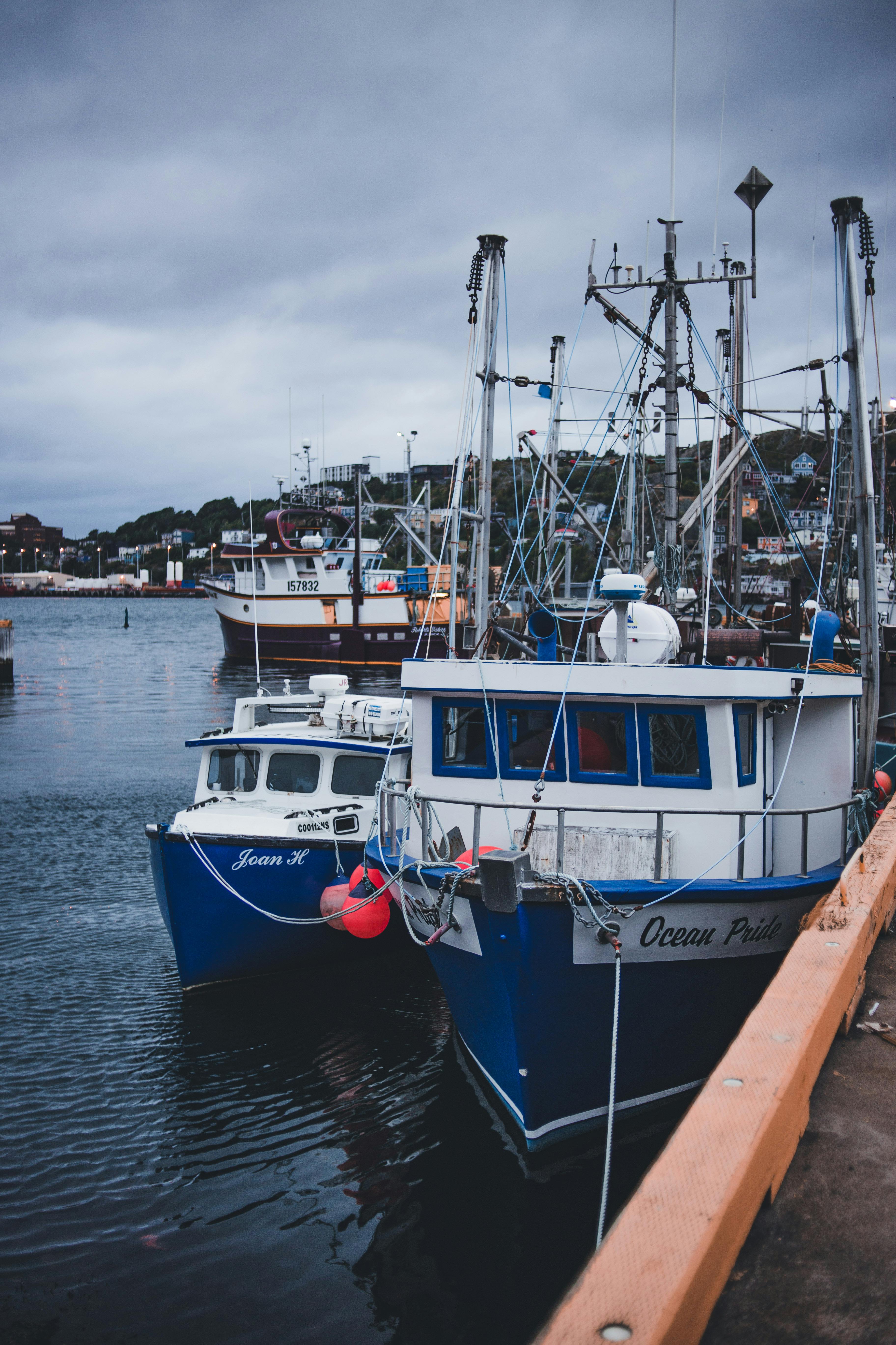 Blue And White Boats On Dock · Free Stock Photo