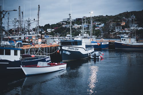 Boats in Marina