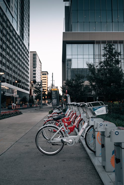 Immagine gratuita di bicicletta, città, da affittare