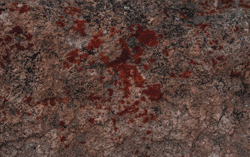 Бесплатное стоковое фото с геология, грубый, камень