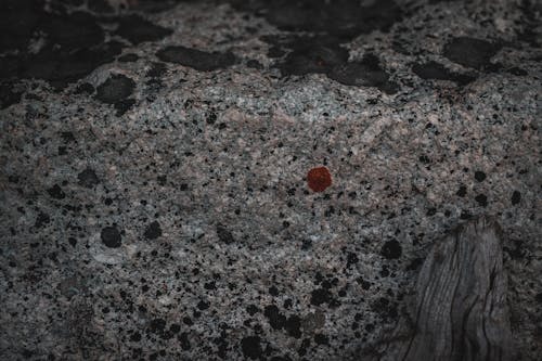 Free Close-Up Shot of a Rock Stock Photo