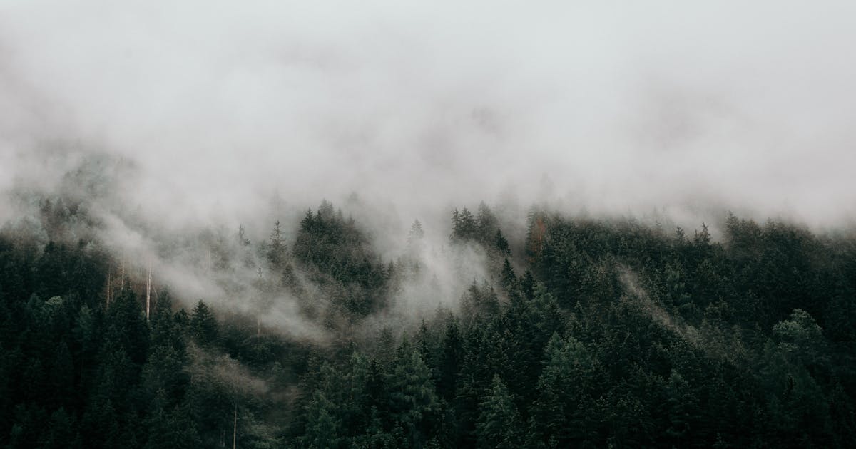 Nebraska Solar Installation: Complete 2025 Guide