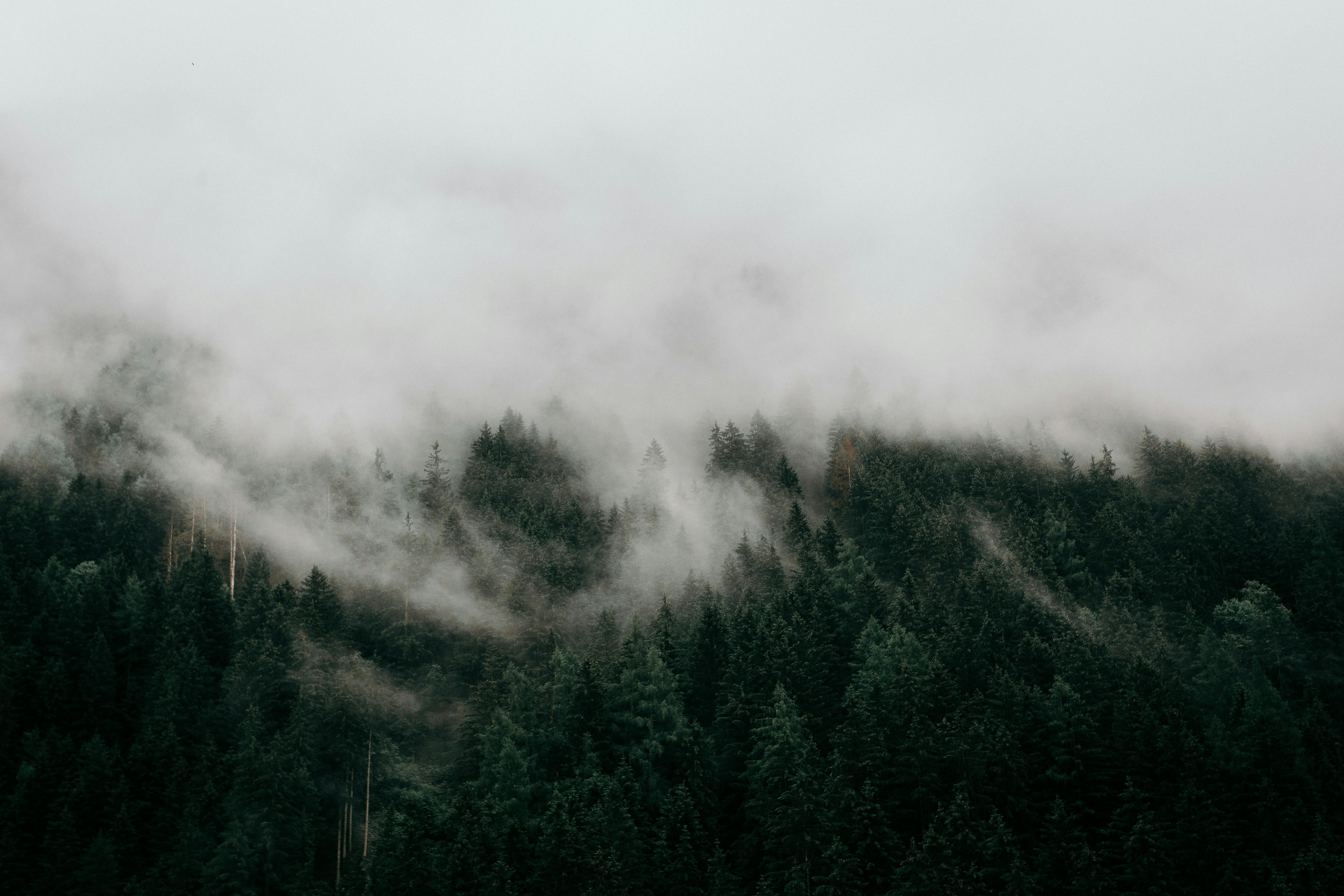 Moody Photos, Download The BEST Free Moody Stock Photos & HD Images