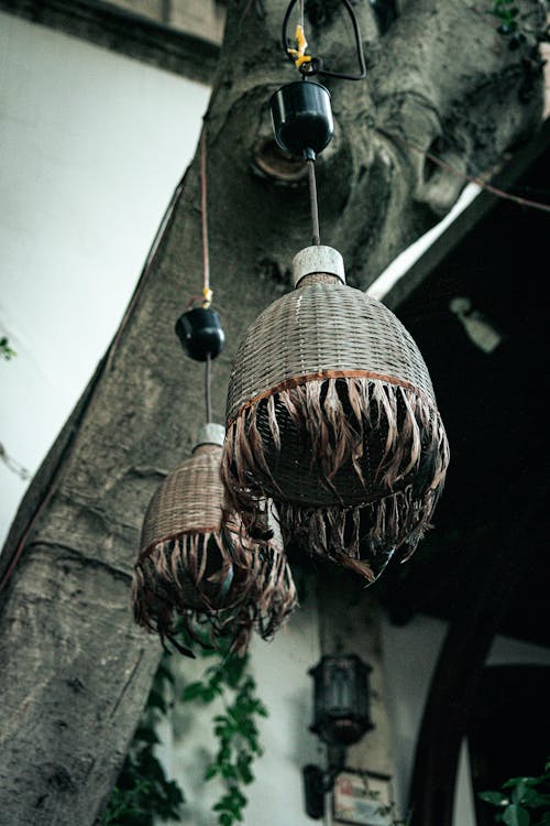 Lamps Hanging from Ceiling