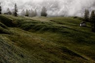 这片宁静的山地景观雾蒙蒙的，以雾蒙蒙的草地、松树和乡村小屋为特色