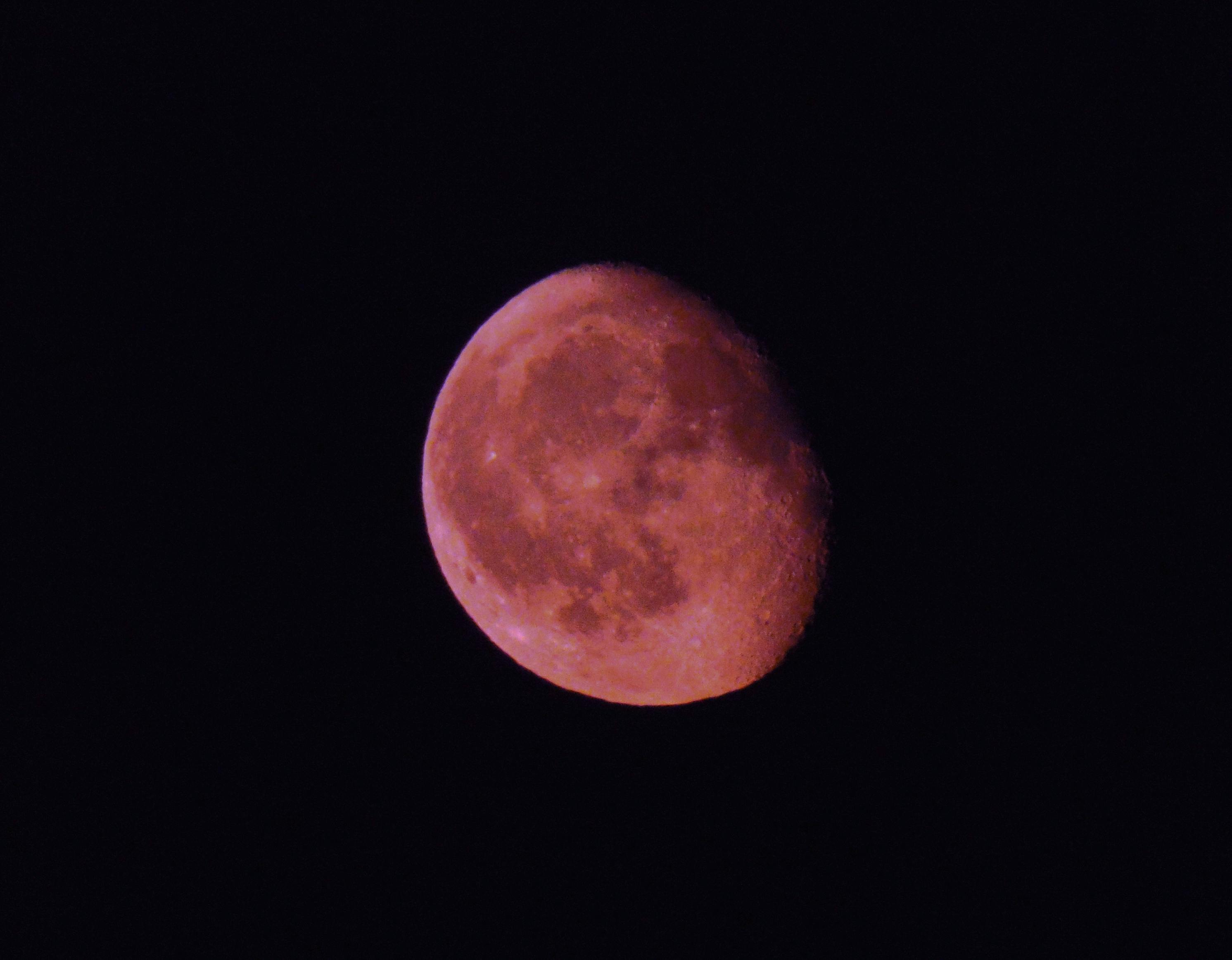 Free stock photo of moon, night, pink