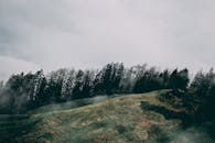 多云的天空下，山间云雾缭绕，山坡郁郁葱葱，森林树木茂密