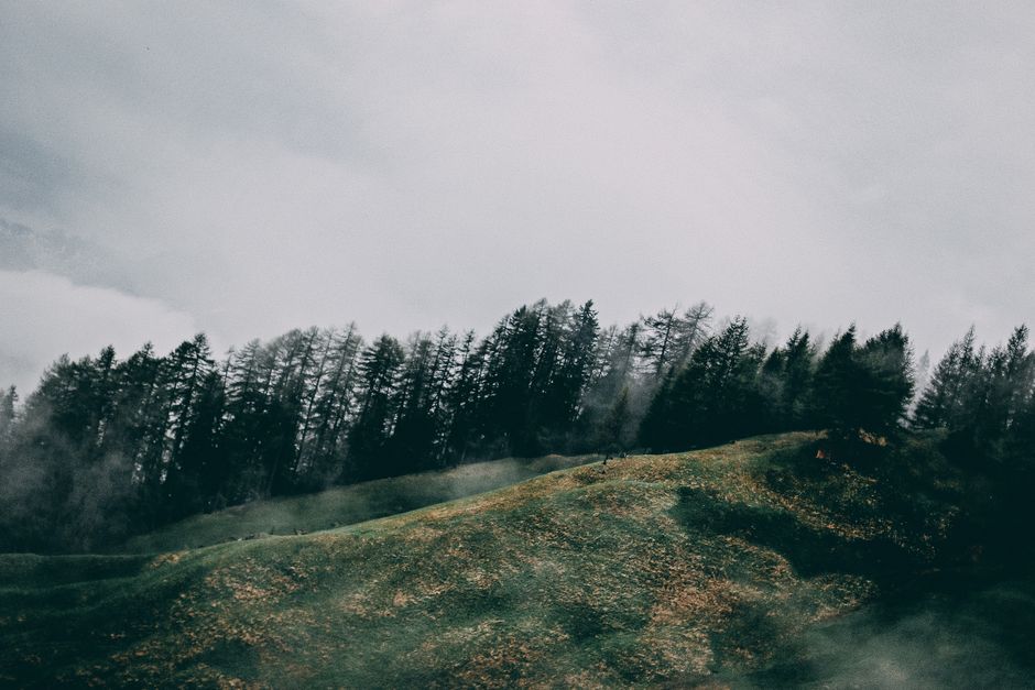 Foggy mountain scene with lush green slopes and dense forest trees under a cloudy sky.
