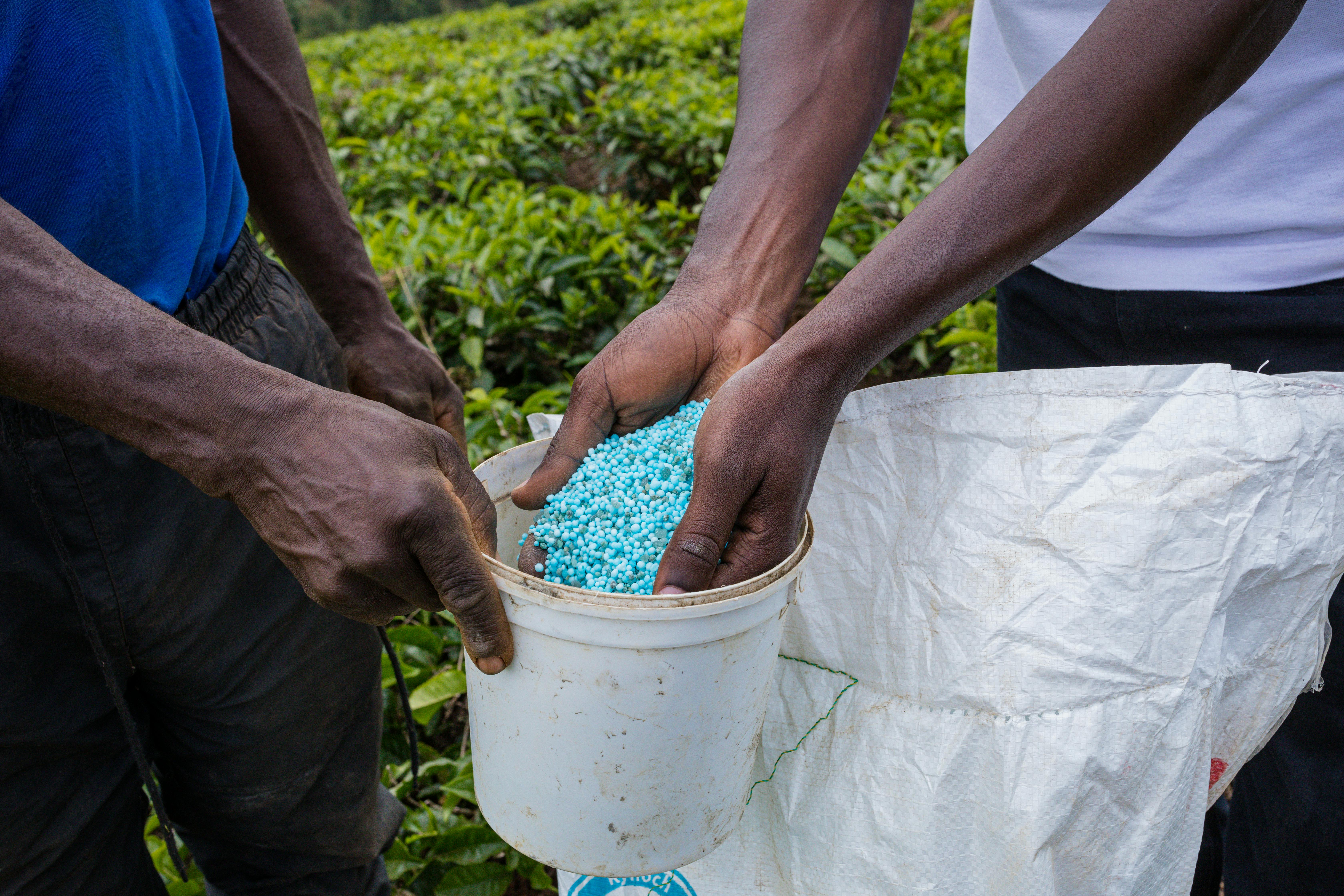 Rethinking the Future of Fertilizer | American Plant Food