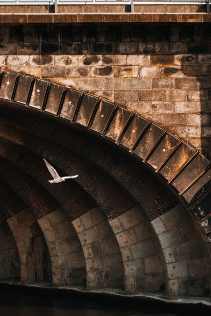 A seagull gracefully flies beneath the arch of a historic stone bridge, capturing a moment of natural elegance.