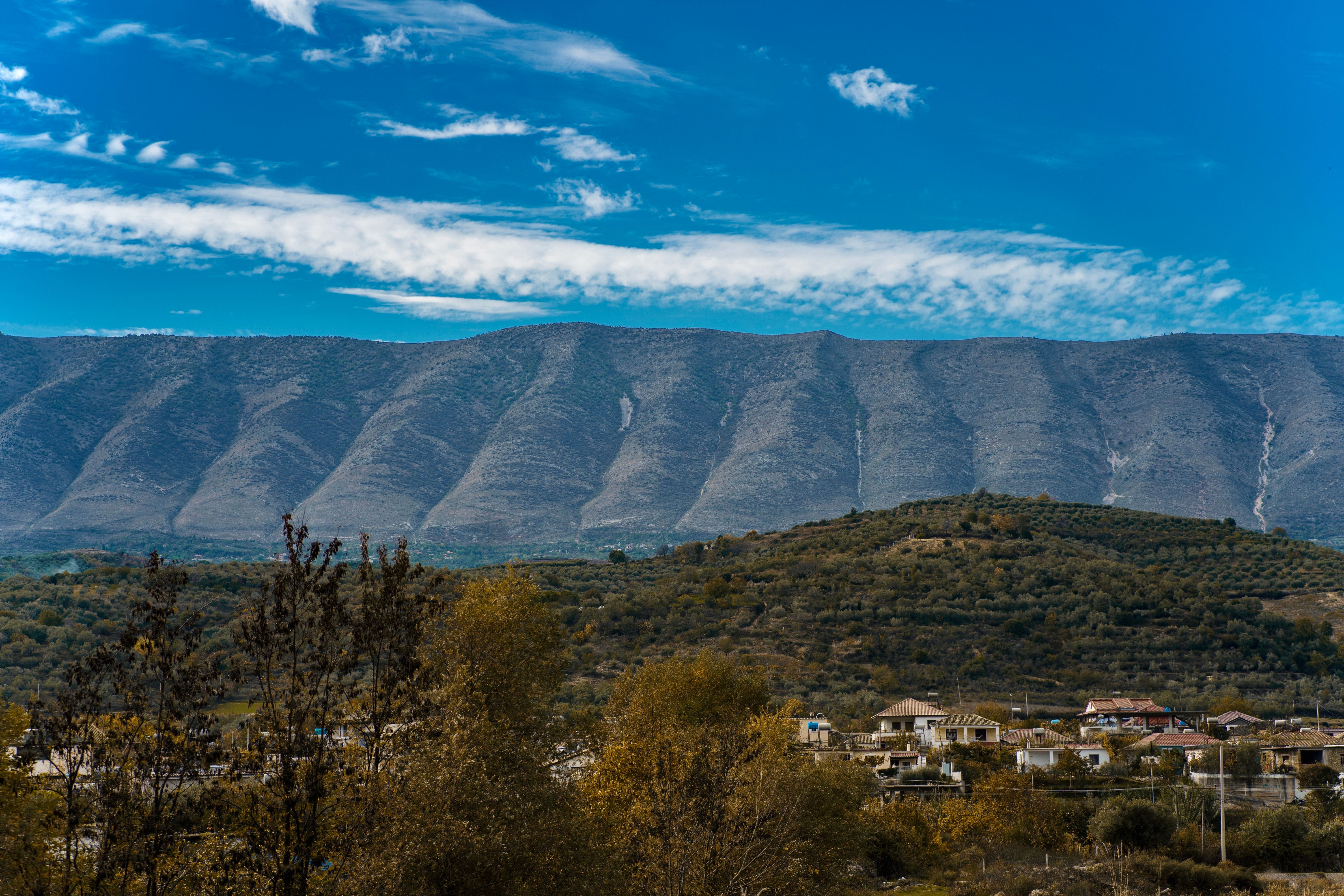 Portaria, Pelion · φωτογραφία περιοχής 5