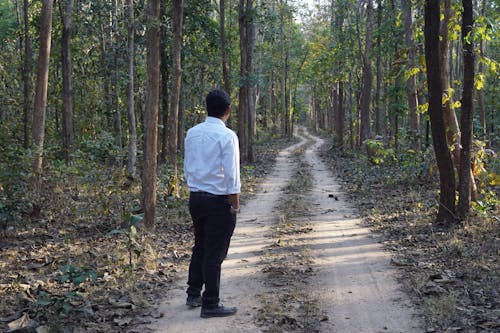 Man Standing in an Unpaved Road in the Forest