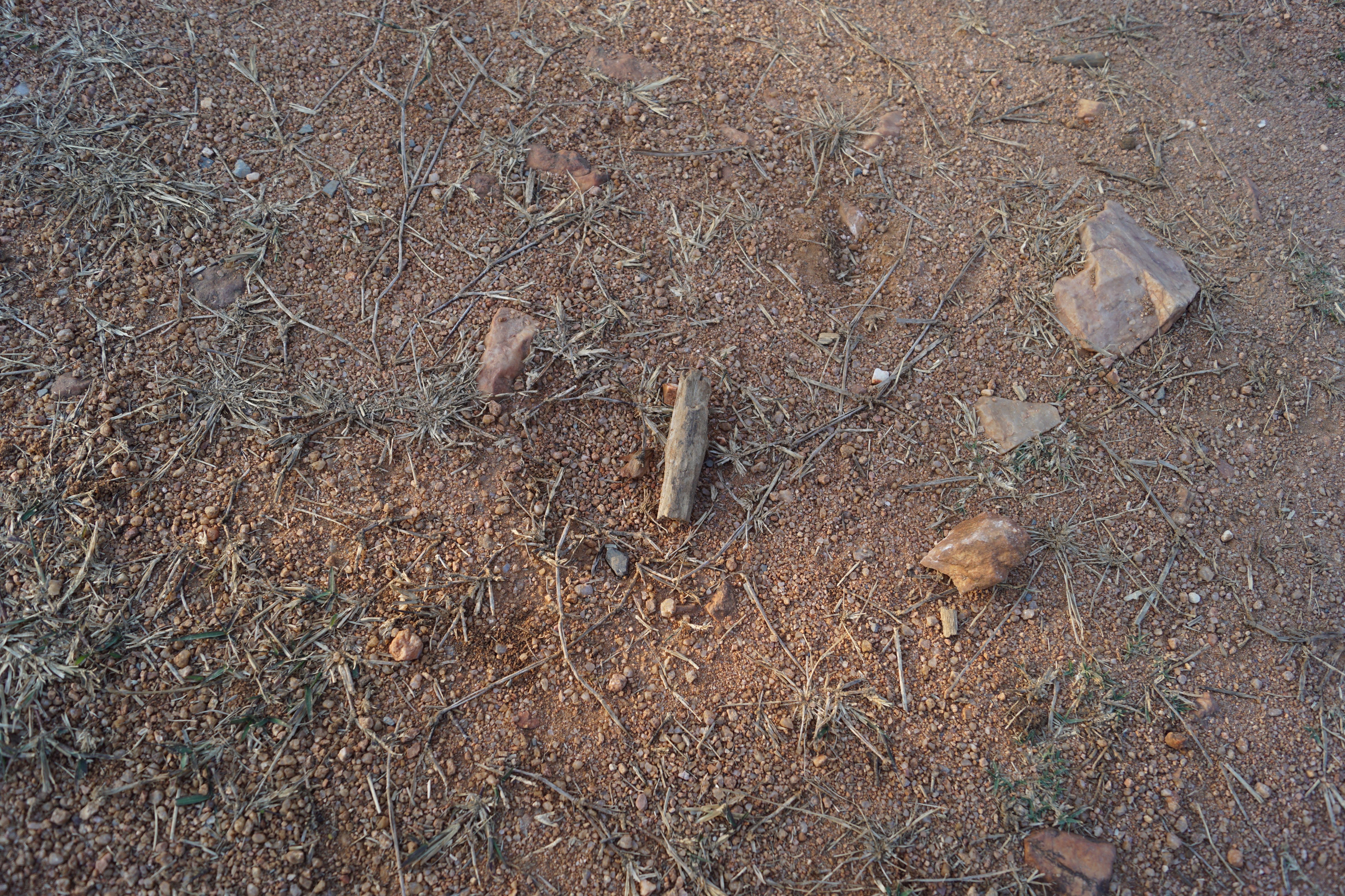 An aerial view of a dry, barren earth surface scattered with stones and dry grass.