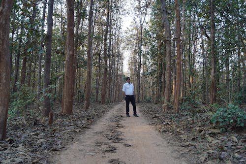 Man in Shirt on Footpath in Forest