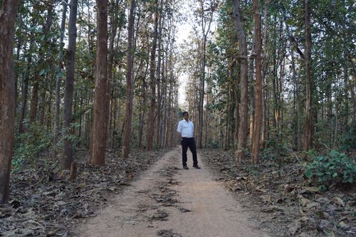 Free A man stands on a leaf-covered path in a dense forest, surrounded by trees. Stock Photo