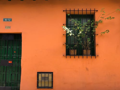 Free Black Steel Window Bars With Green Plants Stock Photo