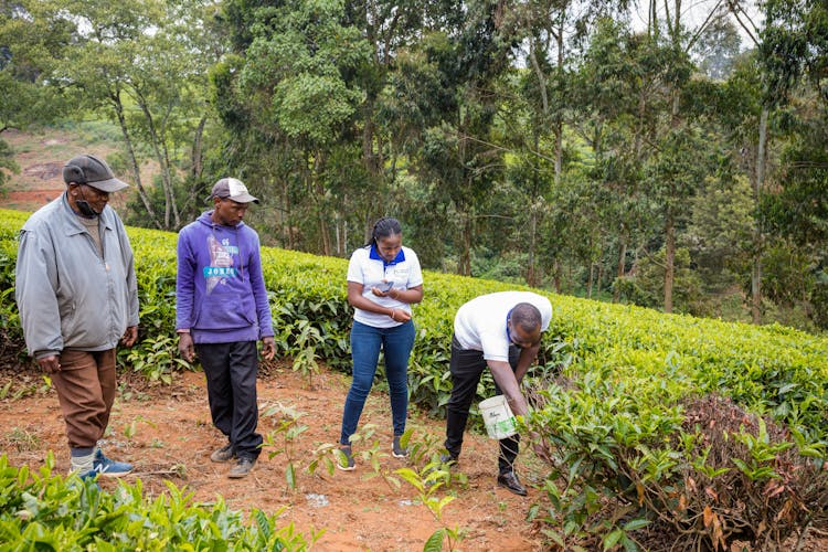 People Working On The Farm Field