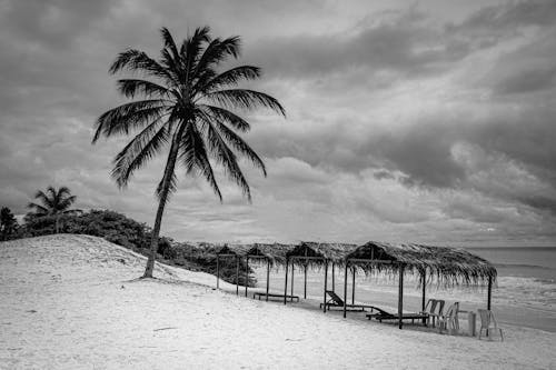 grátis Foto profissional grátis de areia, escala de cinza, litoral Foto profissional
