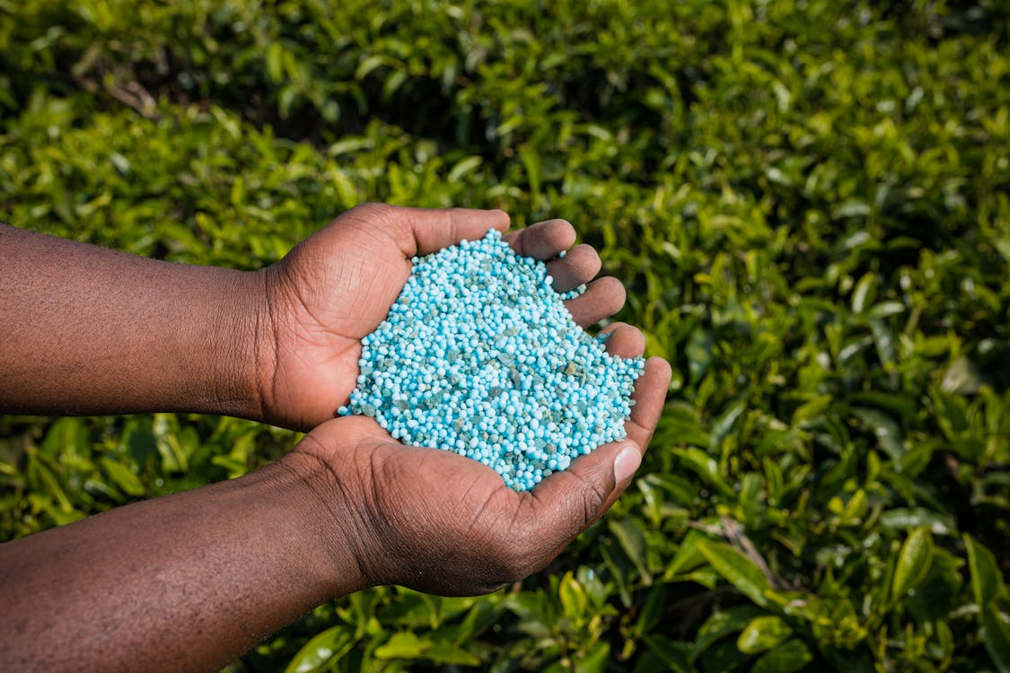 A Person Holding Fertilizer · Free Stock Photo