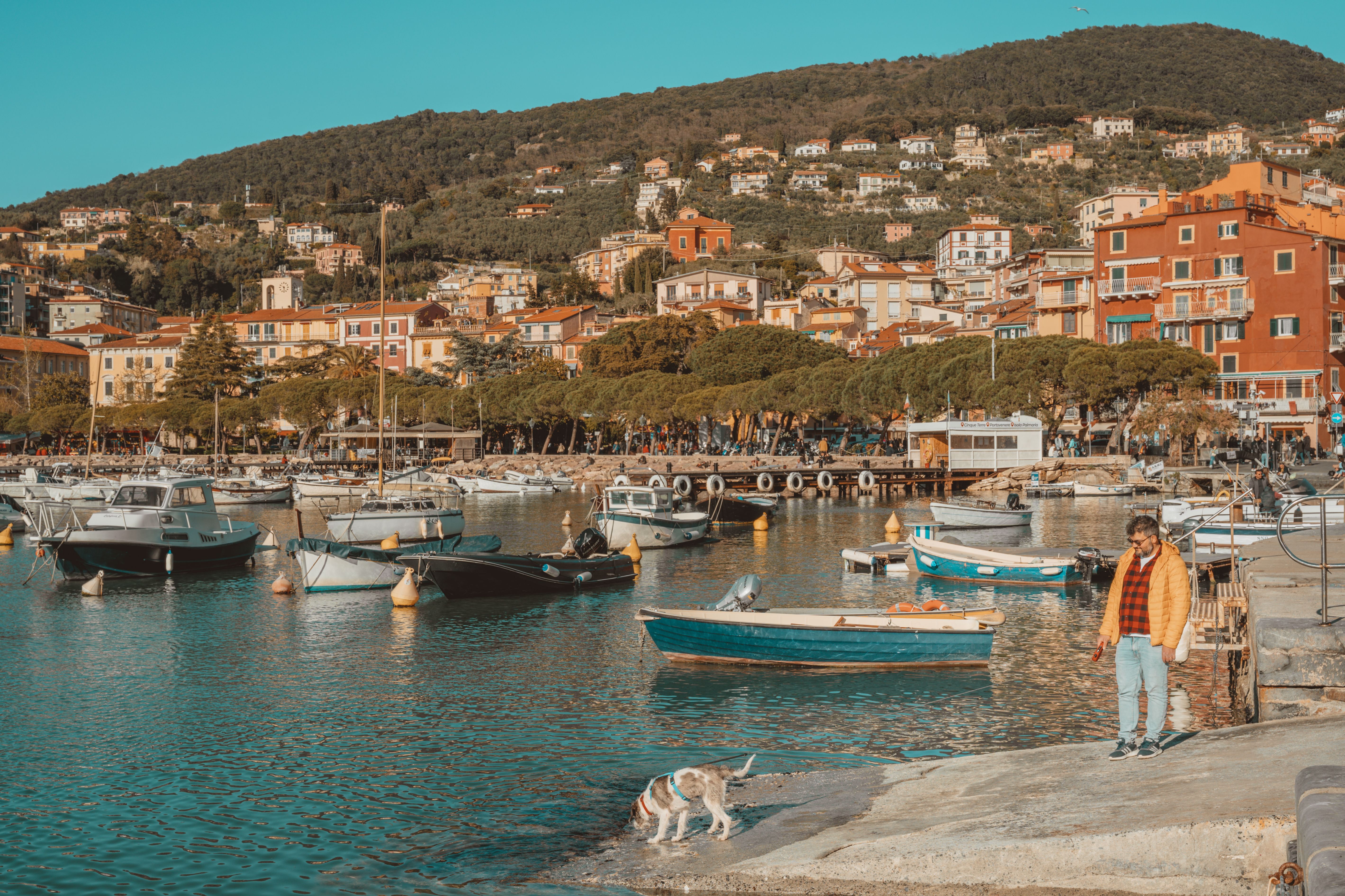 Charming Italian harbor with colorful buildings, boats, and a man walking with a dog on a sunny day.