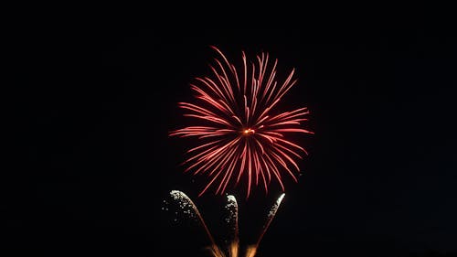 Colorful Fireworks in Dark Night Sky