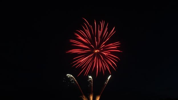 A stunning display of red fireworks lighting up the night sky, perfect for celebrations.