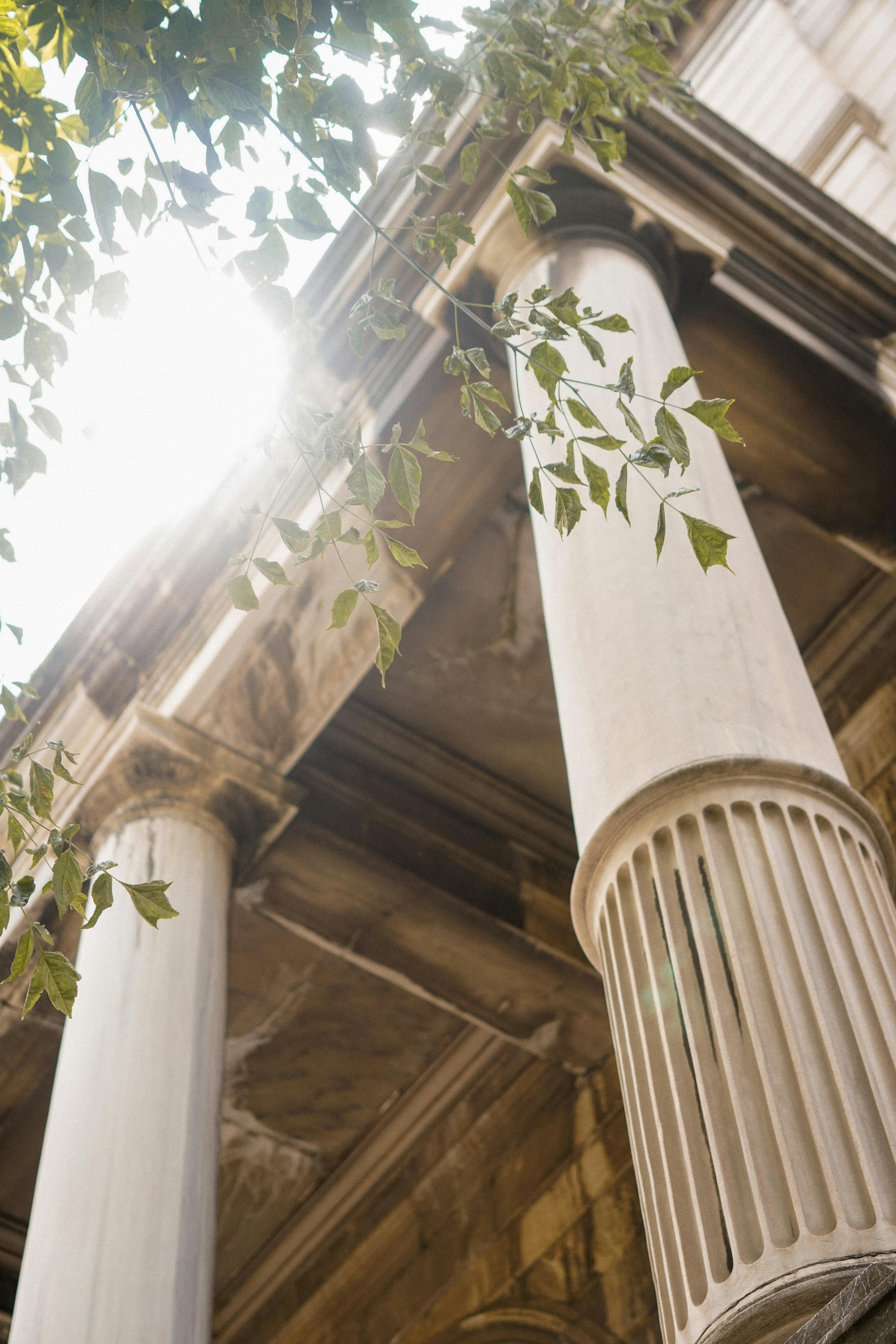 Capture of ancient sunlit architectural pillars with leaves in a serene setting.
