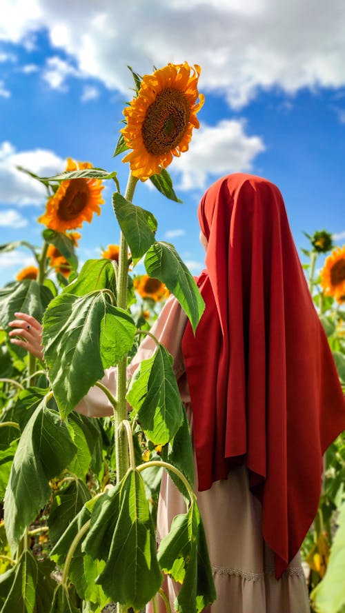 Person Wearing Red Hijab Standing on Sunflower Field 