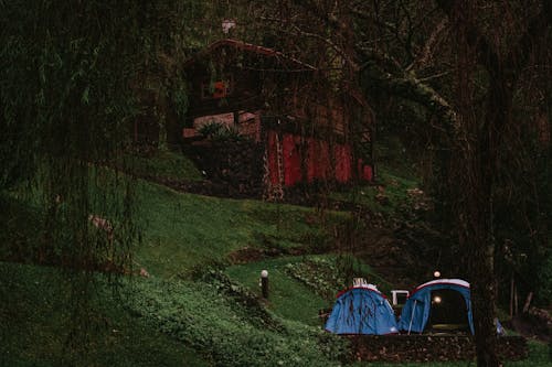 Gratis Fotos de stock gratuitas de acampada, al aire libre, árboles desnudos Foto de stock