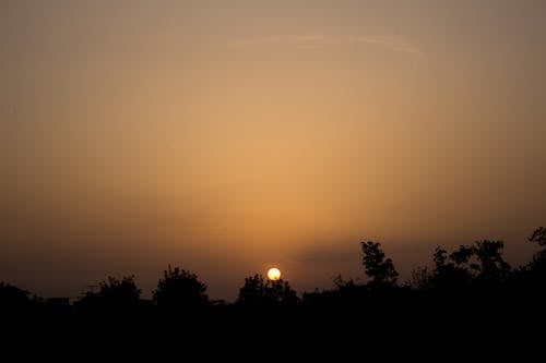 Gratis stockfoto met bomen, copyruimte, gouden uur