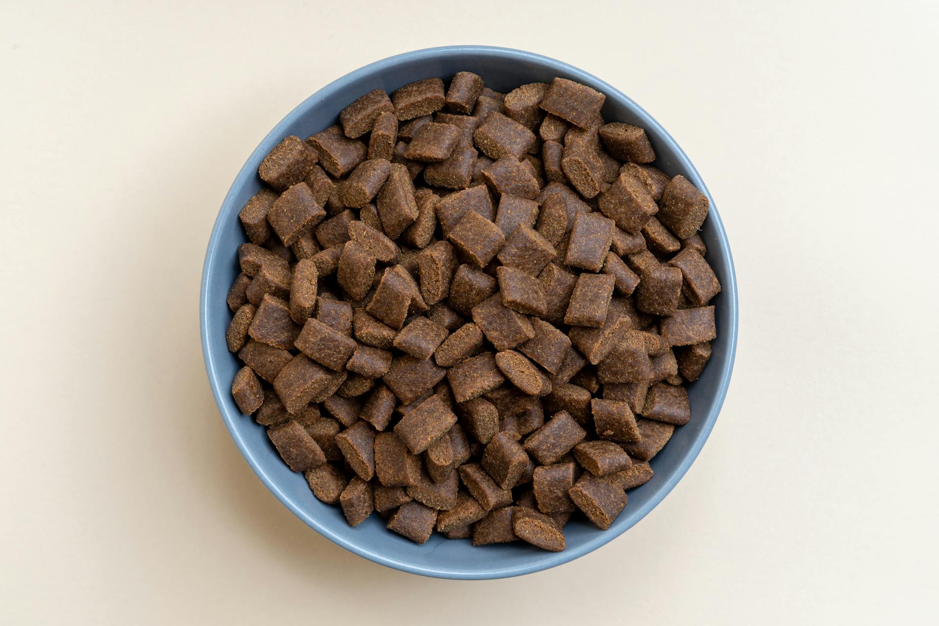 A Bowl of Dog Food