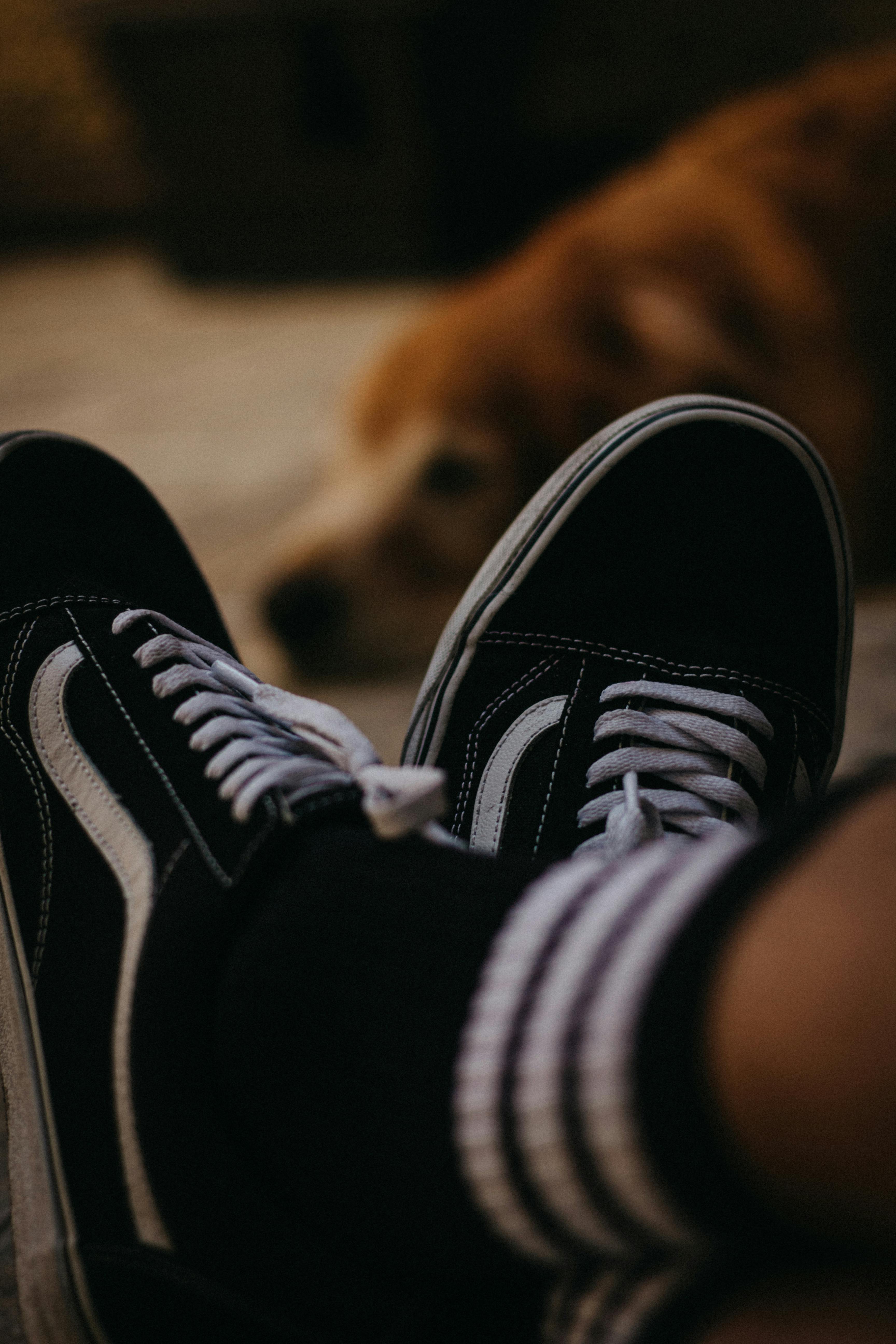 Person Wearing a Pair of Blue Low-top Sneakers · Free Stock Photo