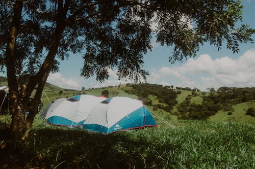 Tents in the Green Grass in the Mountains