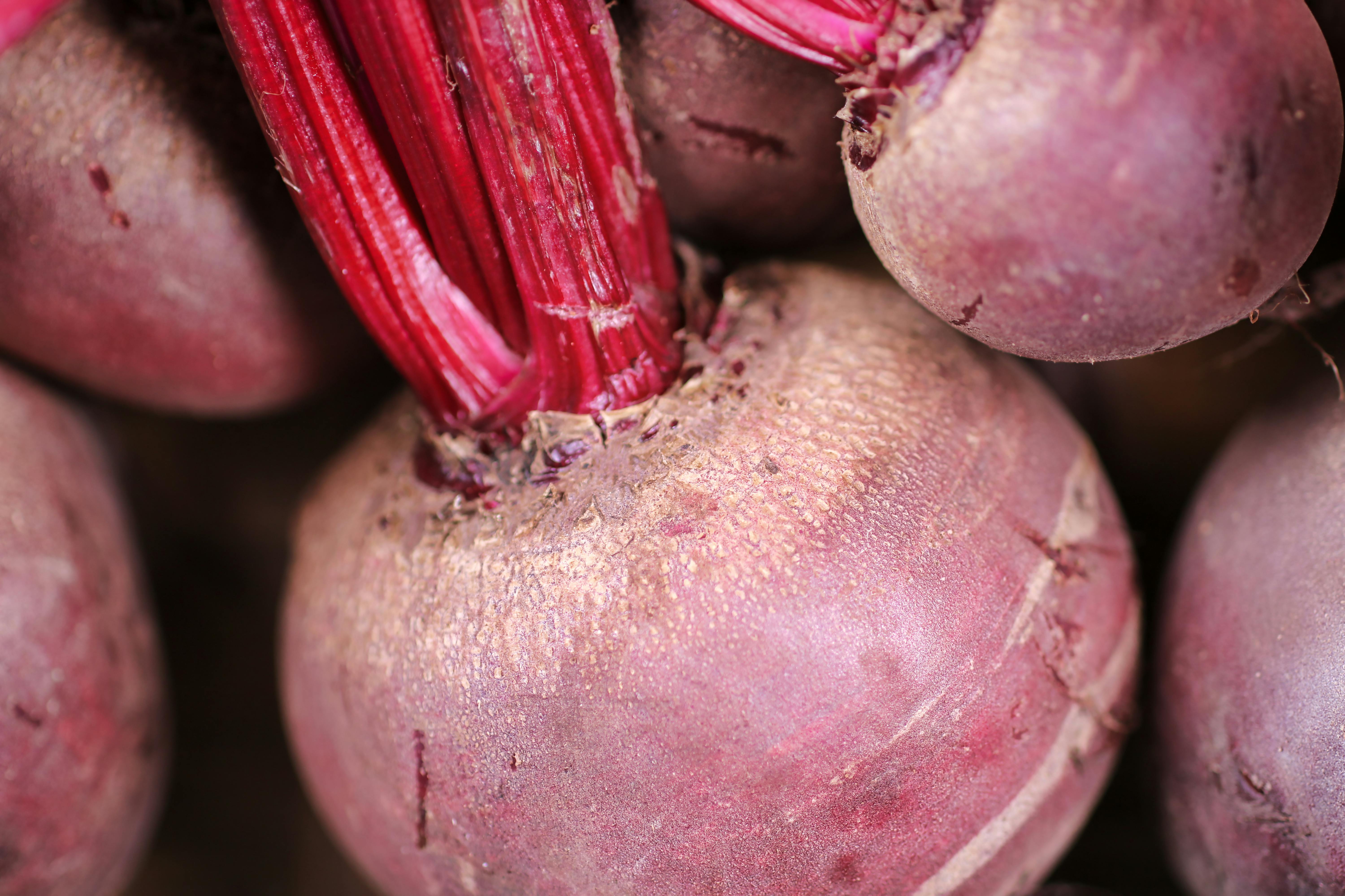 Free stock photo of beet, beet greens, beetroot