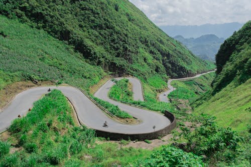 An Aerial Photography of a Curved Road Between Green Trees on Mountain