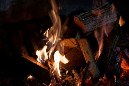 Close-Up Photograph of Burning Firewood